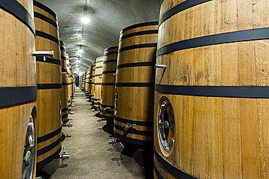 预约抽30克金条和RTX4090显卡 《英勇之地》这次下大手笔了